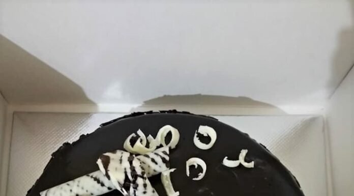 മോളുടെ പിറന്നാളും ബിന്ദുവിന്റെ Birthday കേക്കും