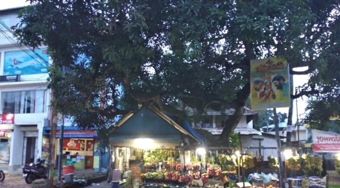 സർബത്ത്