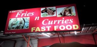 Fries in Curries Fast Food