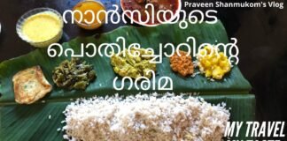 നാൻസി ജോണിന്റെ പൊതിച്ചോറ്, പുട്ട്, ബീഫ് , ബീഫ് അച്ചാർ.എല്ലാം കിടിലം Elzu Nadan Food Products Nancy