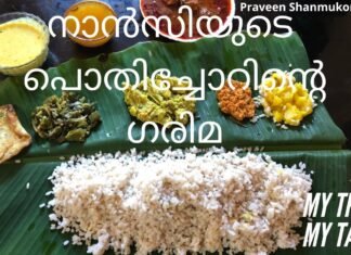 നാൻസി ജോണിന്റെ പൊതിച്ചോറ്, പുട്ട്, ബീഫ് , ബീഫ് അച്ചാർ.എല്ലാം കിടിലം Elzu Nadan Food Products Nancy
