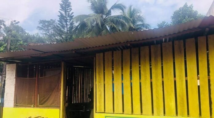 കച്ചേരിനടയിലെ മനസ് നിറയും ഊണ്