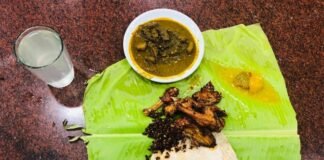 ചാല കേത്തൽസ്