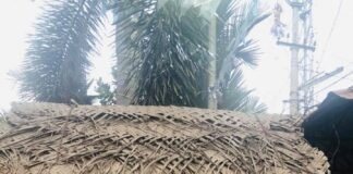 സൊറ പറയുന്ന മുക്കിലെ കട്ടനും കട്ട്ലെറ്റും