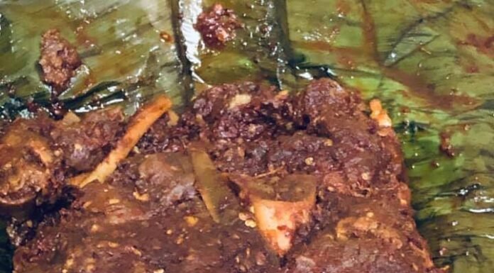 เดตเตเดฃเตเดเตเด เดจเดฟเดธเดพเตผ เดนเตเดเตเดเตฝ เดเดพเดฒ