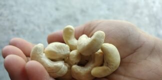 നല്ല ഒന്നാന്തരം അണ്ടിപ്പരിപ്പ് അഥവാ Cashew nut