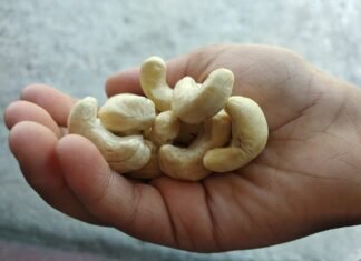 നല്ല ഒന്നാന്തരം അണ്ടിപ്പരിപ്പ് അഥവാ Cashew nut
