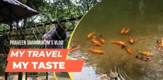 Thenmala – Episode – 3/8. ഒരു തെന്മല യാത്രയ്ക്ക് അറിയേണ്ടതെല്ലാം.