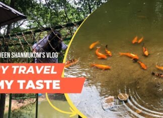 Thenmala – Episode – 3/8. ഒരു തെന്മല യാത്രയ്ക്ക് അറിയേണ്ടതെല്ലാം.