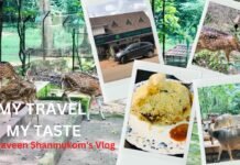 Thenmala – Episode – 4/8. ഒരു തെന്മല യാത്രയ്ക്ക് അറിയേണ്ടതെല്ലാം.