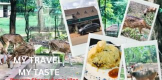 Thenmala – Episode – 4/8. ഒരു തെന്മല യാത്രയ്ക്ക് അറിയേണ്ടതെല്ലാം.