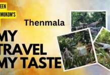 Thenmala – Episode – 5/8. ഒരു തെന്മല യാത്രയ്ക്ക് അറിയേണ്ടതെല്ലാം.