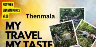 Thenmala – Episode – 5/8. ഒരു തെന്മല യാത്രയ്ക്ക് അറിയേണ്ടതെല്ലാം.